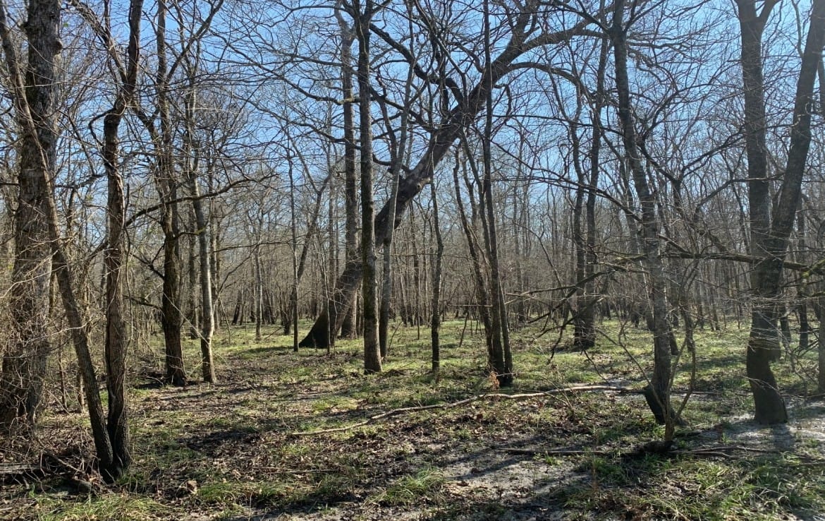 65 acres in Red River County