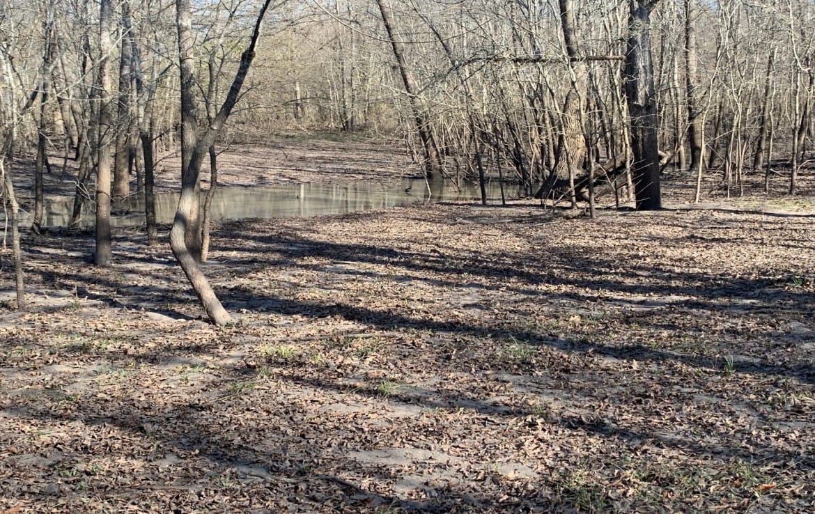 65 acres in Red River County