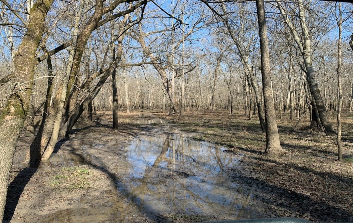 65 acres in Red River County