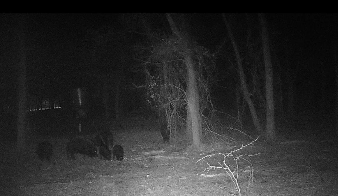 6 acres in Denton County