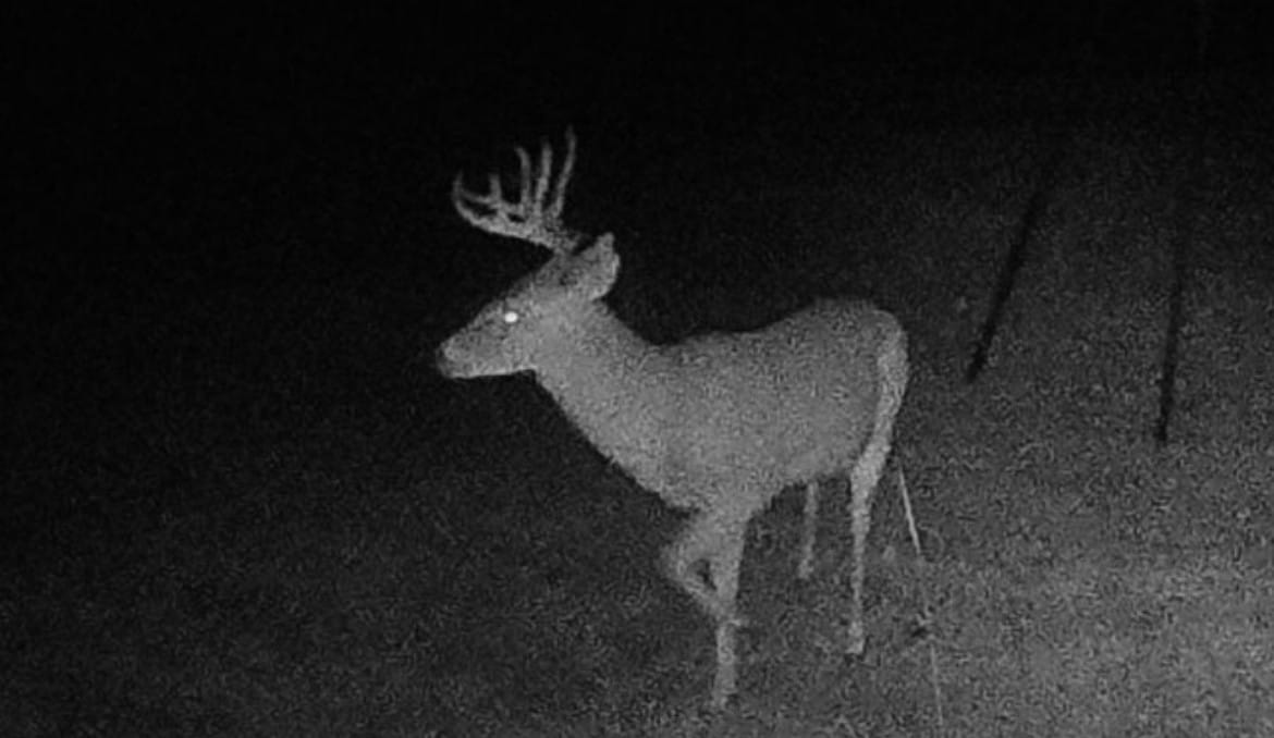 6 acres in Denton County