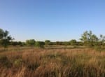 75 acres in Taylor County