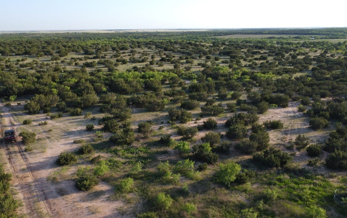 75 acres in Taylor County