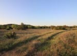 75 acres in Taylor County