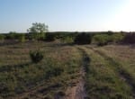 75 acres in Taylor County