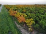 75 acres in Taylor County