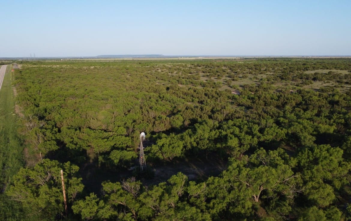 75 acres in Taylor County