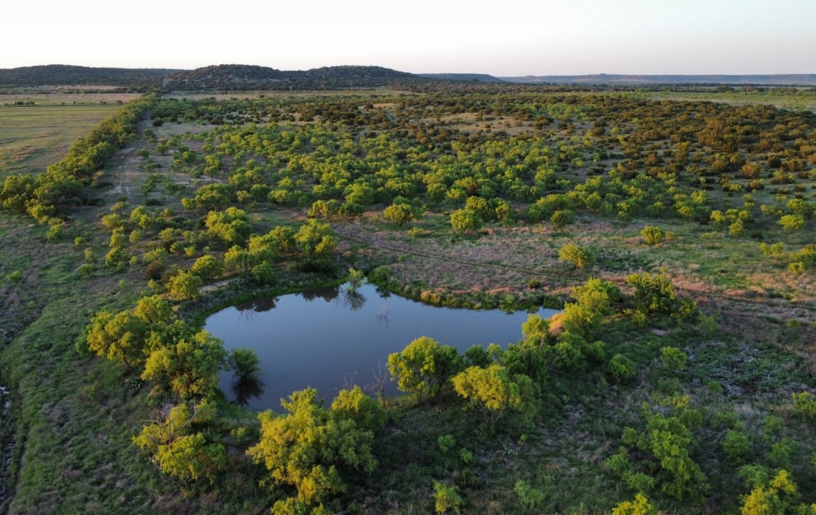 75 acres in Taylor County