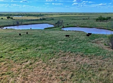 477 acres in Clay County