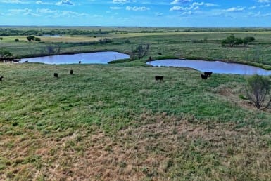 477 acres in Clay County