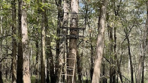 66 acres in Red River County