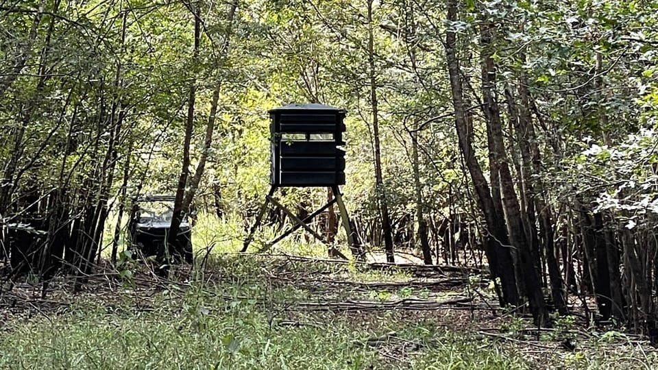 66 acres in Red River County