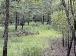 66 acres in Red River County