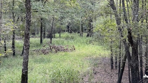 66 acres in Red River County