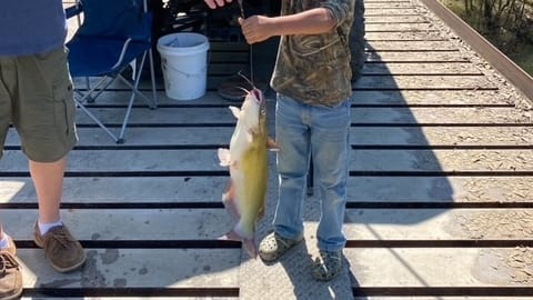 66 acres in Red River County