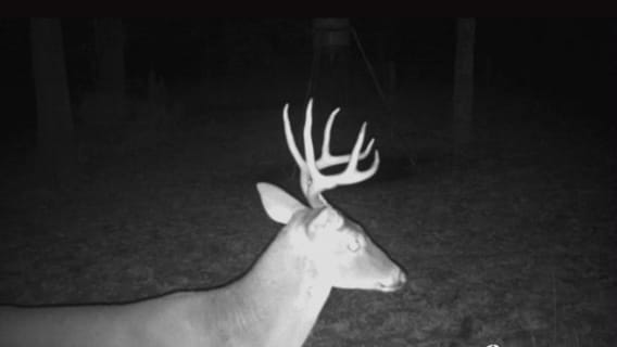 66 acres in Red River County