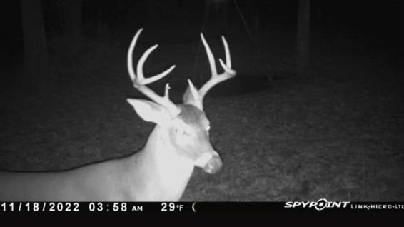 66 acres in Red River County