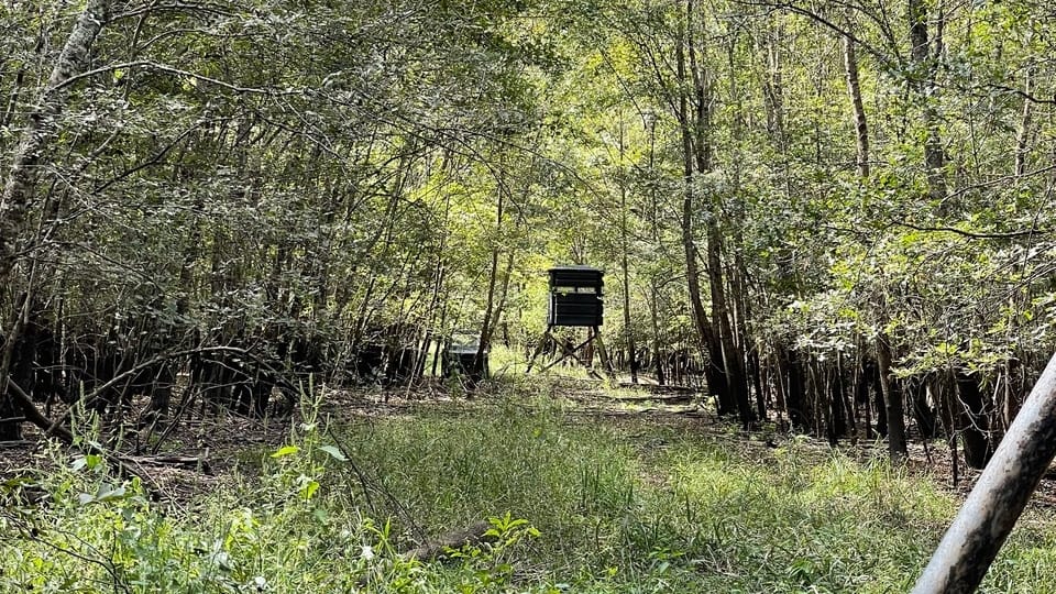 66 acres in Red River County