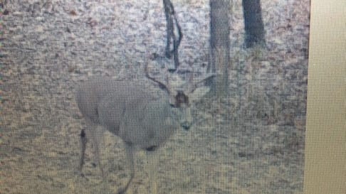 66 acres in Red River County