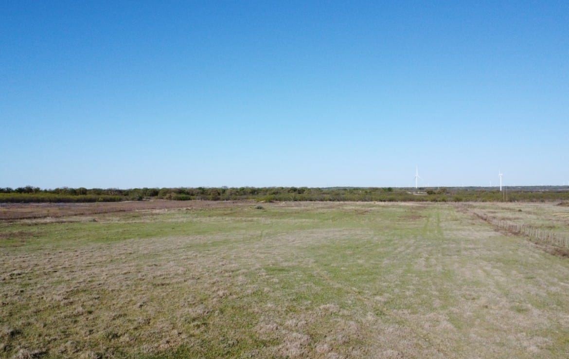 14 acres in Callahan County