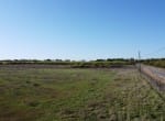 14 acres in Callahan County