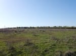 14 acres in Callahan County
