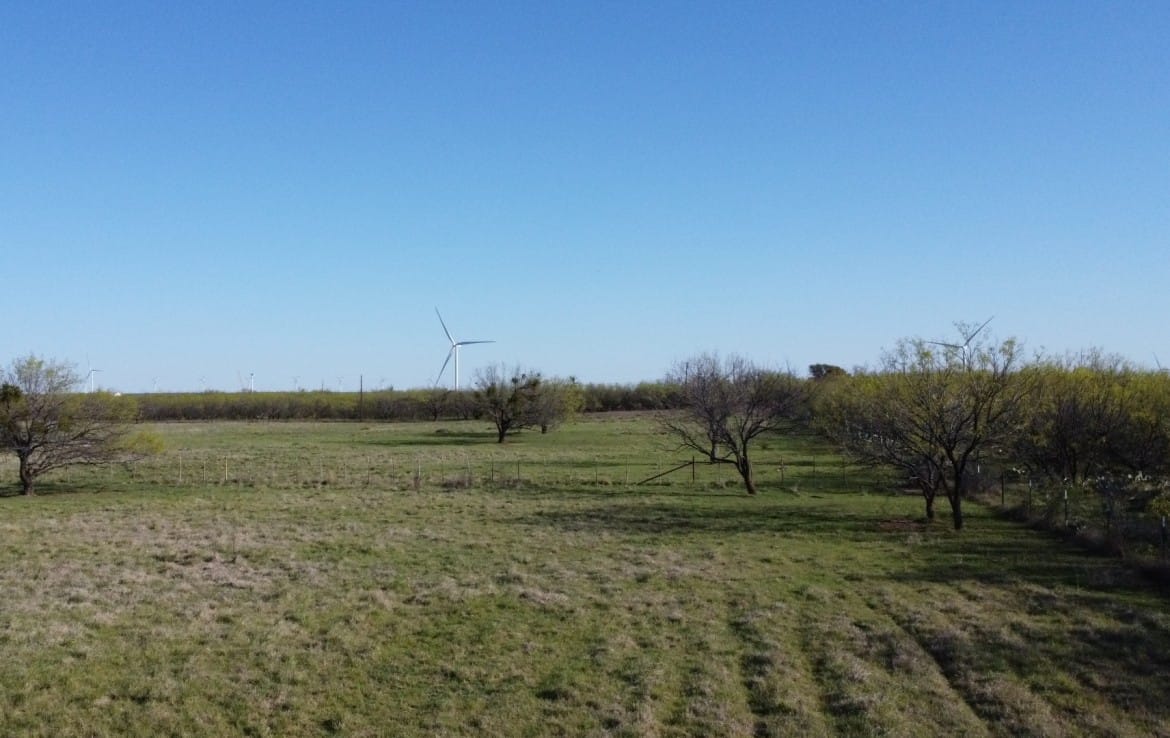 14 acres in Callahan County