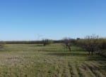 14 acres in Callahan County