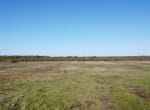 14 acres in Callahan County