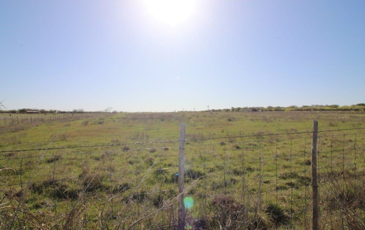 14 acres in Callahan County