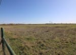 14 acres in Callahan County