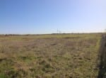 14 acres in Callahan County