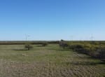 14 acres in Callahan County
