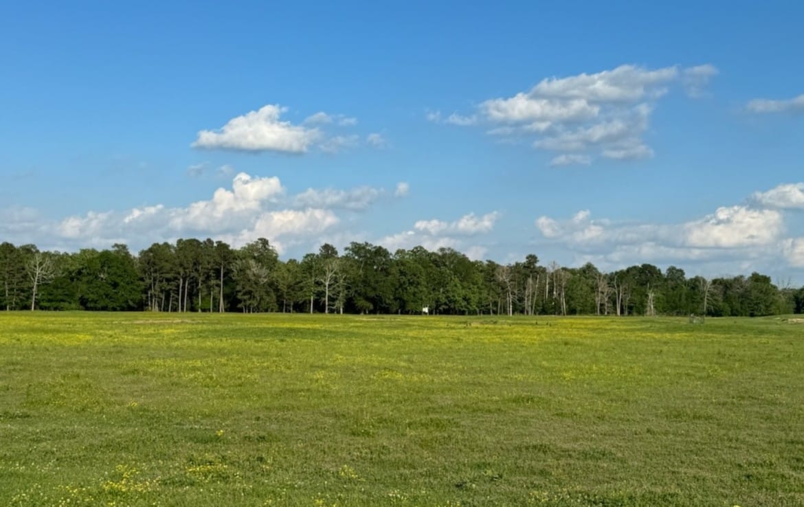 117 acres in Red River County