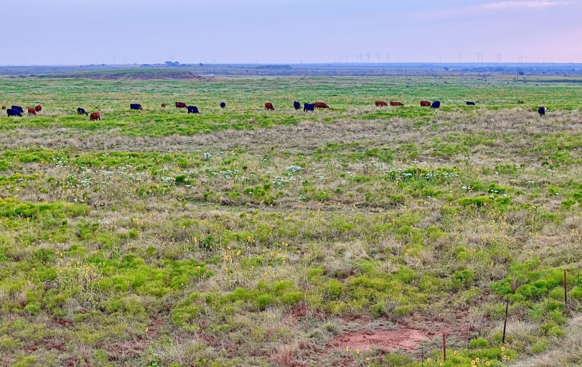 1022 acres in Archer County