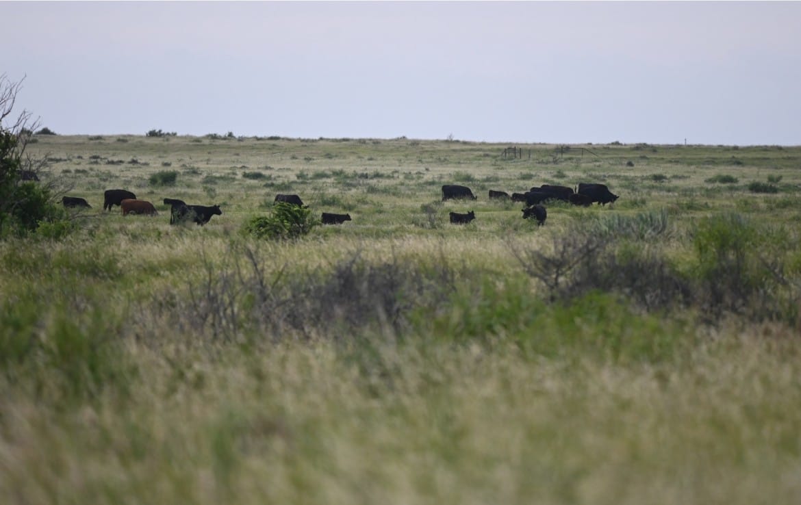 1022 acres in Archer County