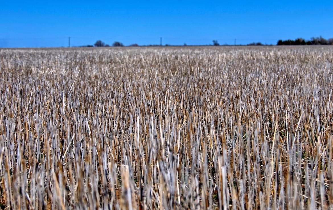 182 acres in Wilbarger County