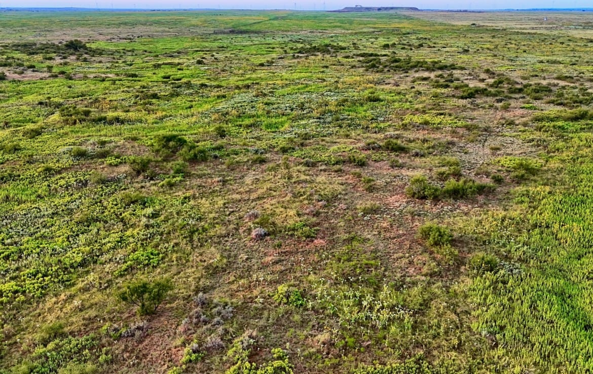 1022 acres in Archer County