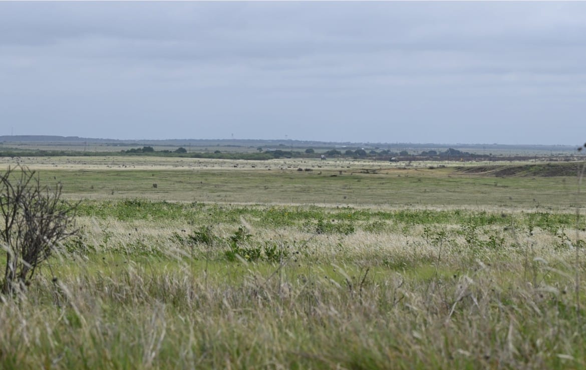 1022 acres in Archer County