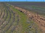 160 acres in Wilbarger County