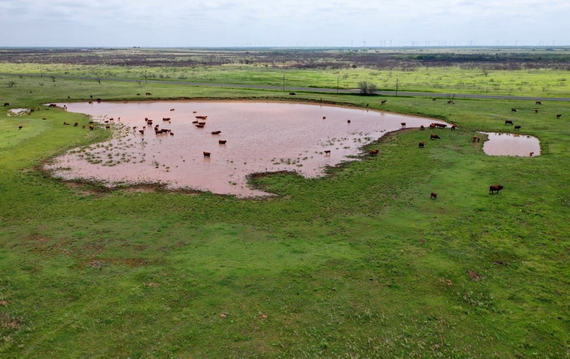 1022 acres in Archer County