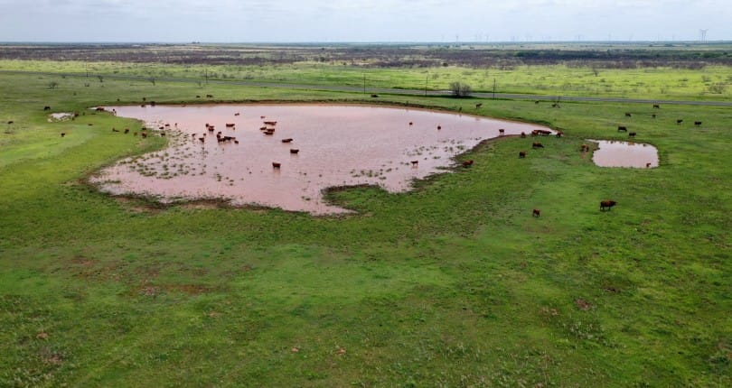 1022 acres in Archer County