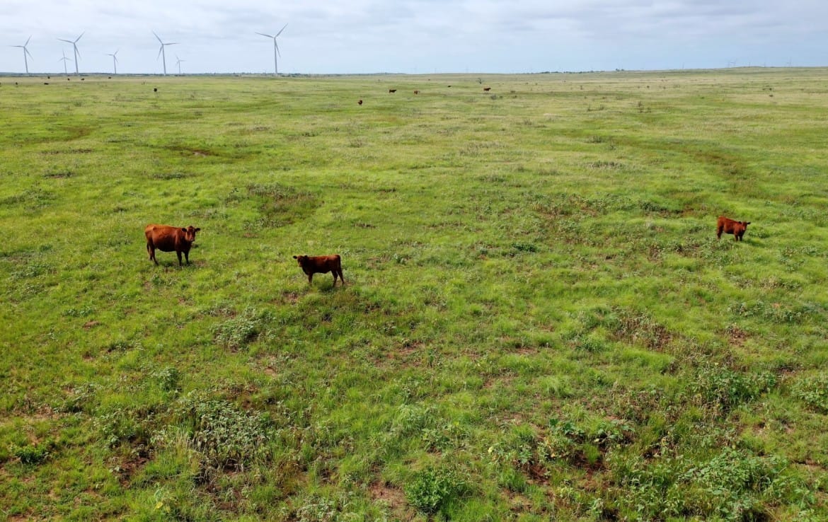 1022 acres in Archer County