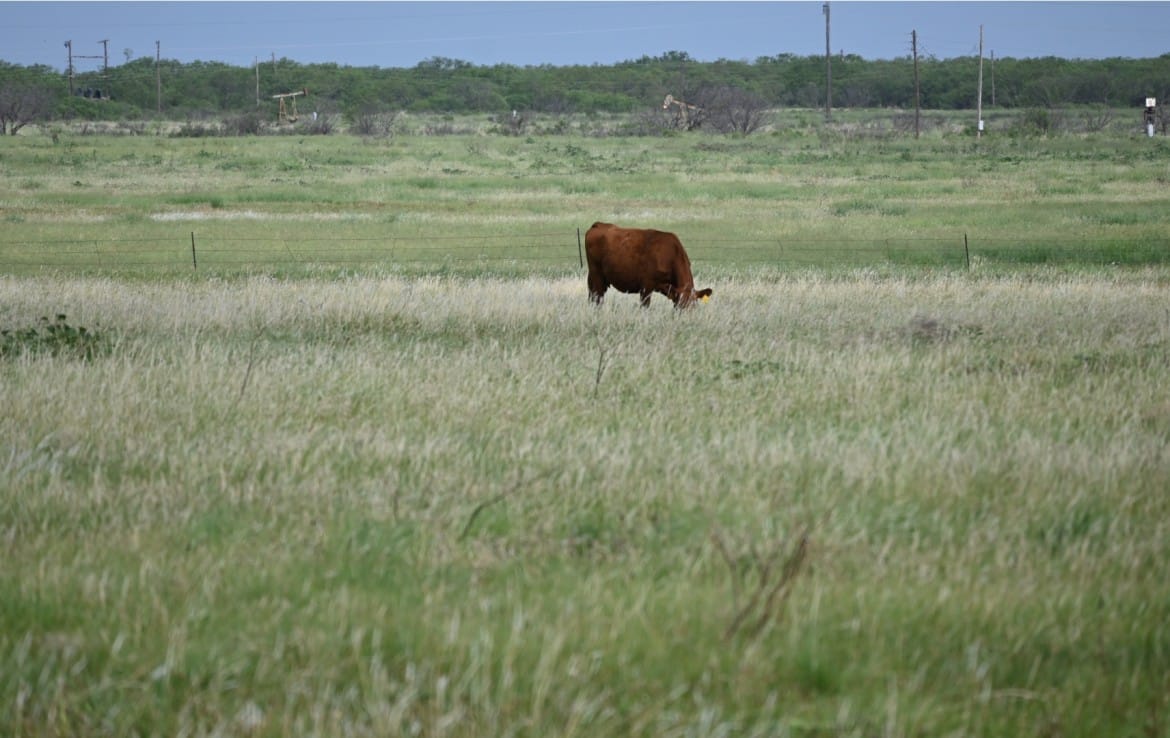 1022 acres in Archer County