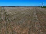 160 acres in Wilbarger County