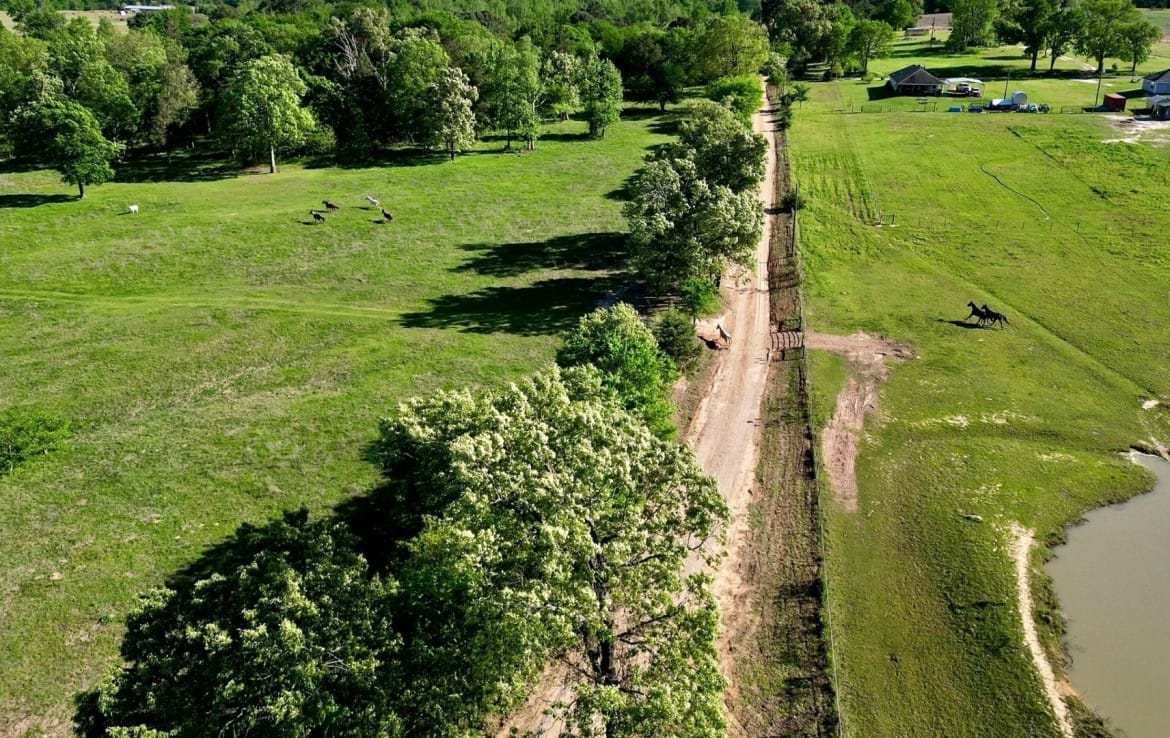 42 acres in Camp County