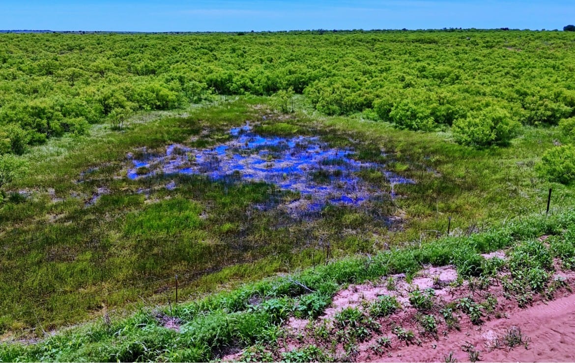 160 acres in Childress County