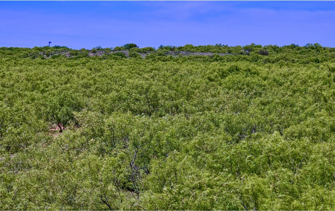 160 acres in Childress County