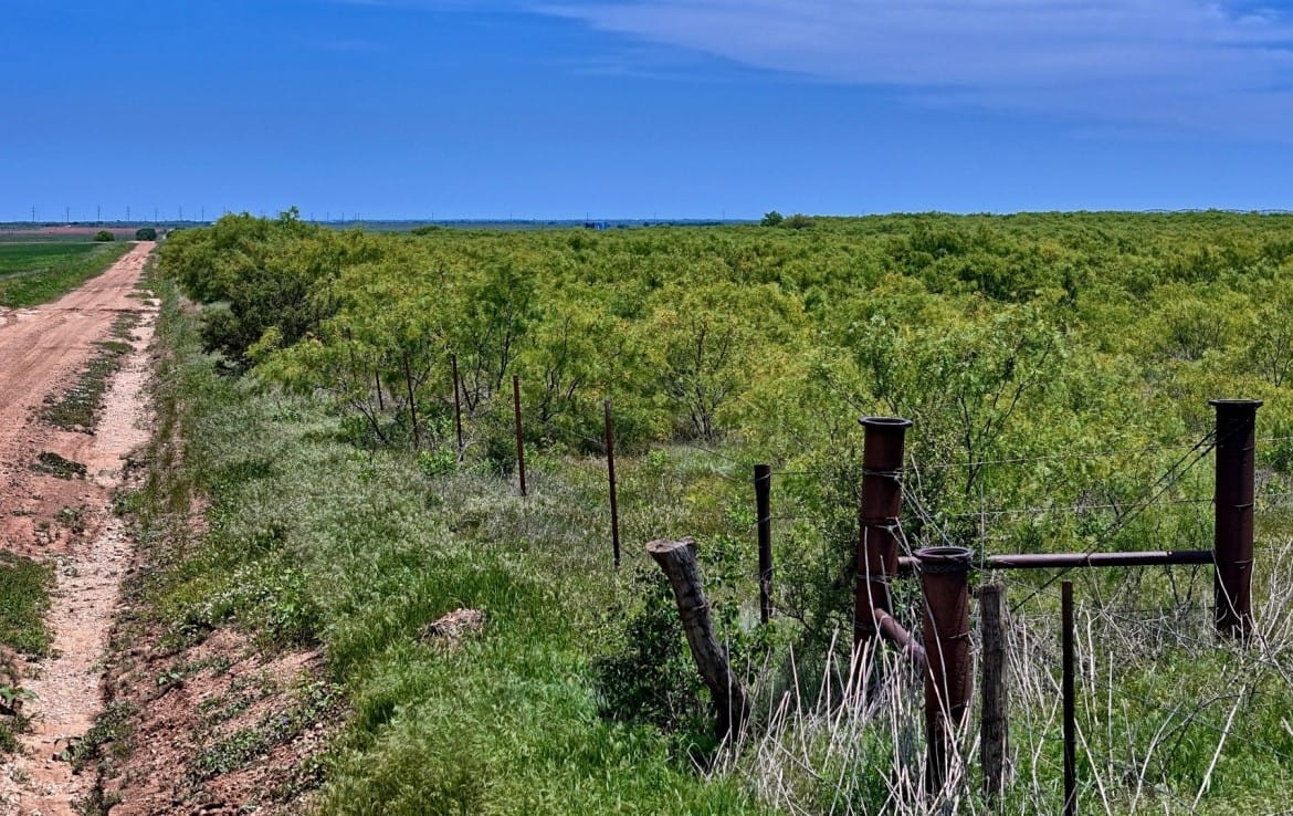 160 acres in Childress County