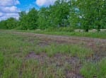 522 acres in Lamar County
